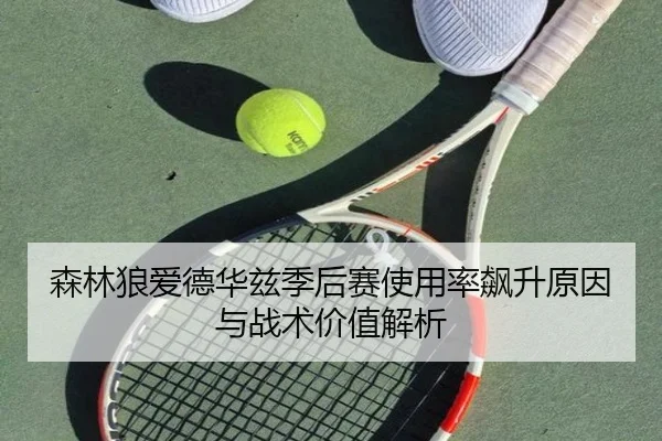 森林狼爱德华兹季后赛使用率飙升原因与战术价值解析